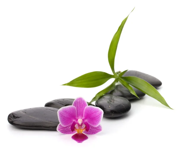 Camino de guijarros zen. Spa y concepto de salud . —  Fotos de Stock