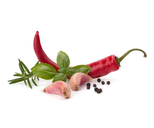 Chilli pepř a koření — Stock fotografie