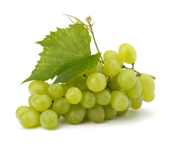 Ripe grape whith leaf — Stock Photo, Image