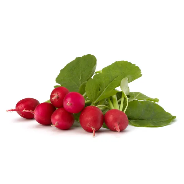 Small garden radish — Stock Photo, Image