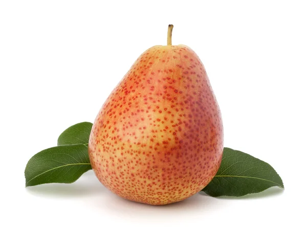 Pear — Stock Photo, Image