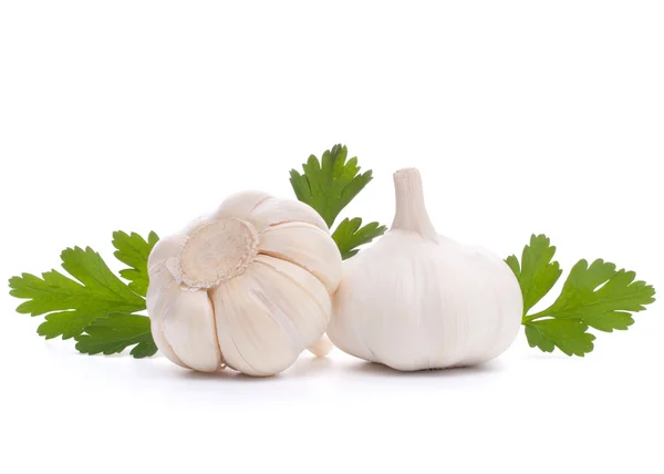 Garlic bulb — Stock Photo, Image