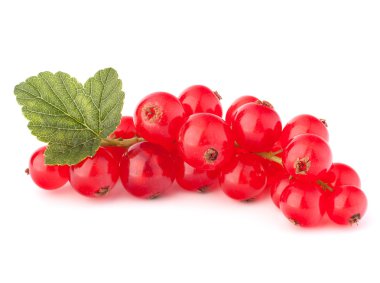 Red currants and green leaves still life clipart