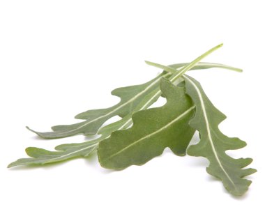 tatlı rucola salata veya roket marul yaprakları