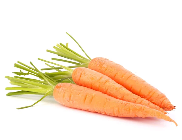 Carrot vegetable with leaves — Stock Photo, Image