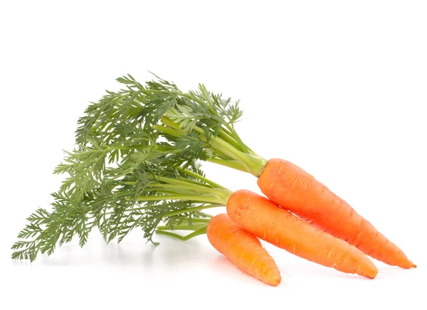 Möhrengemüse mit Blättern — Stockfoto