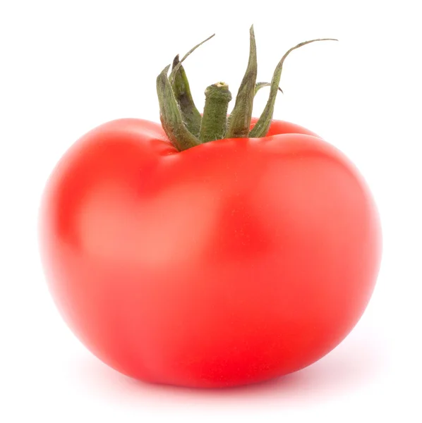 Tomat vegetabilisk — Stockfoto