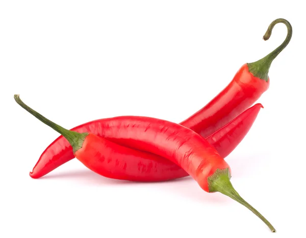 Hot red chili or chilli pepper still life — Stock Photo, Image