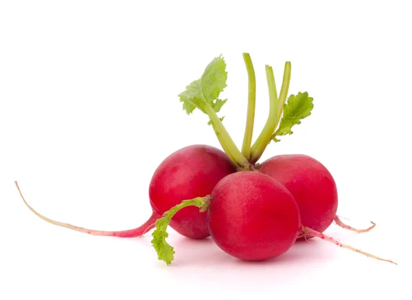 Small garden radish — Stock Photo, Image