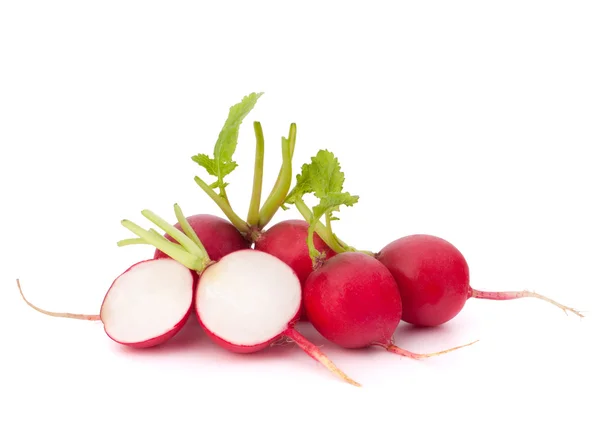 Small garden radish — Stock Photo, Image