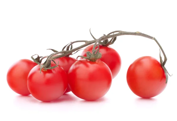 Tomate cereza —  Fotos de Stock