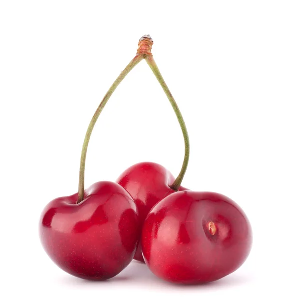 Baies cerises en forme de coeur — Photo