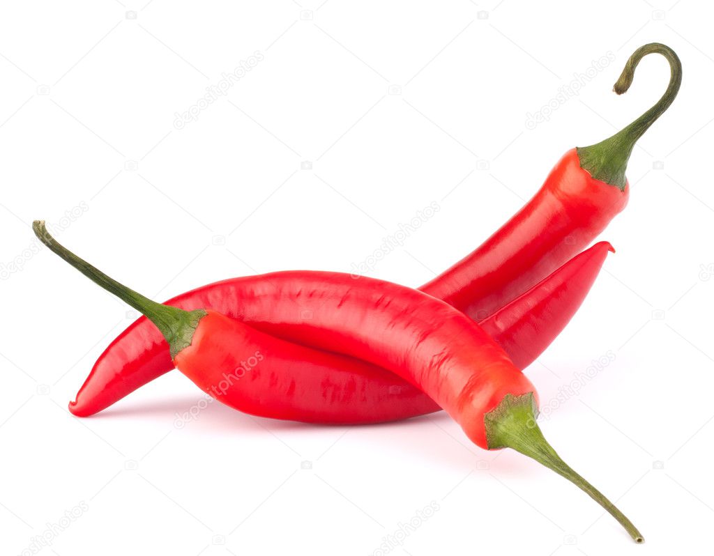 Hot red chili or chilli pepper still life
