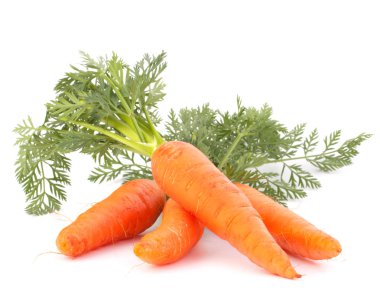 Carrot vegetable with leaves clipart
