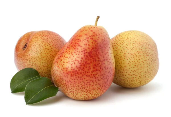 Pear fruits — Stock Photo, Image