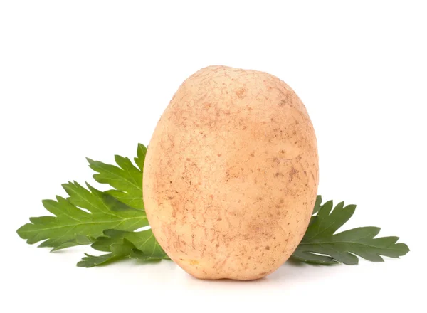 Potato and parsley leaves — Stock Photo, Image