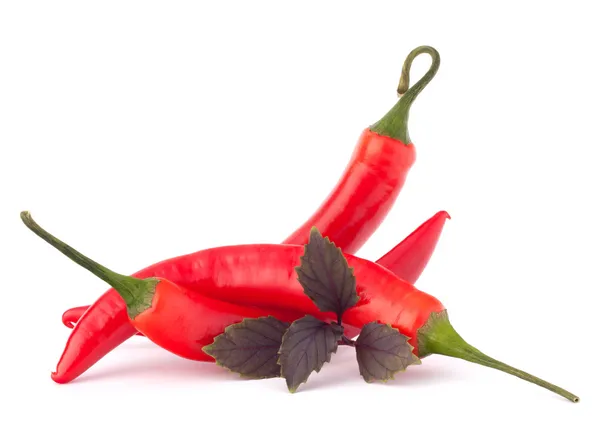 Peperoncino rosso caldo o peperoncino e foglie di basilico nature morte — Foto Stock