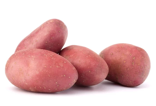 Ny potatis knölen heap — Stockfoto