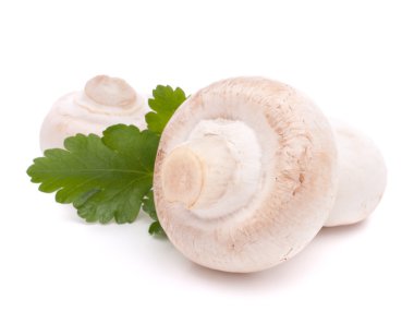 champignon mantar ve maydanoz yaprakları