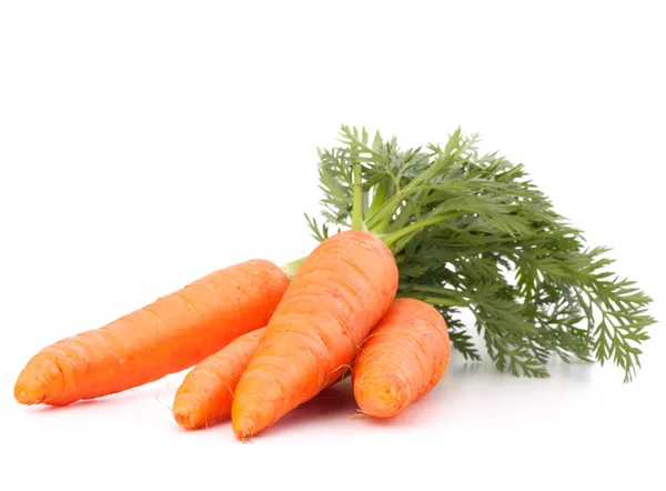 Carrot vegetable with leaves — Stock Photo, Image