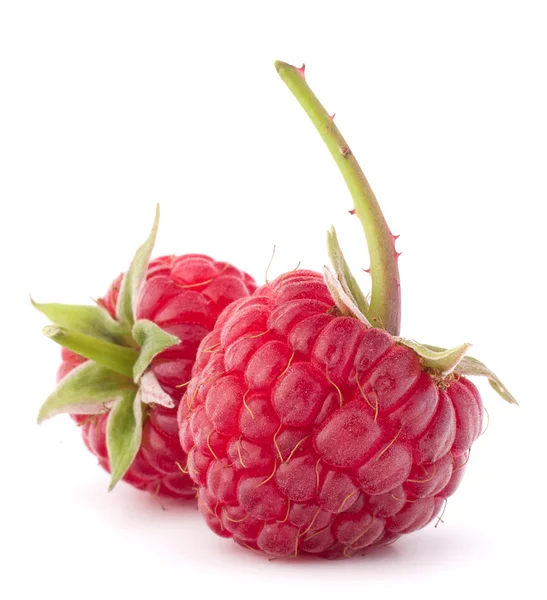 Ripe raspberries — Stock Photo, Image