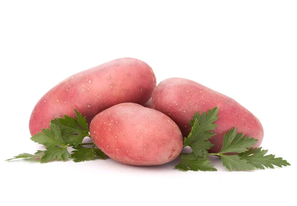 Foglie di tubero di patate nuove e prezzemolo — Foto Stock