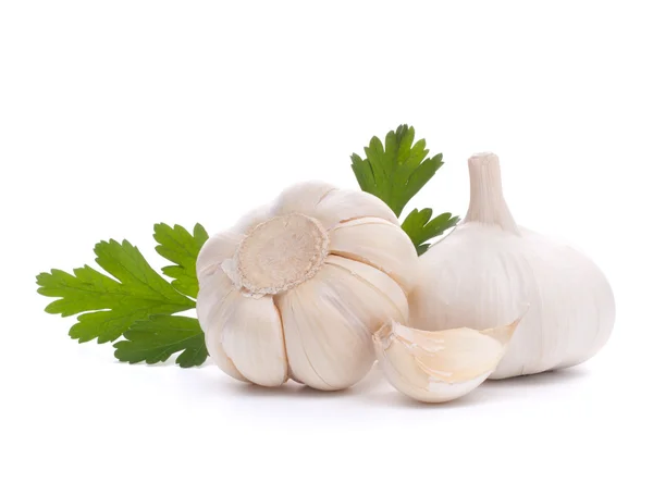 Garlic bulb — Stock Photo, Image