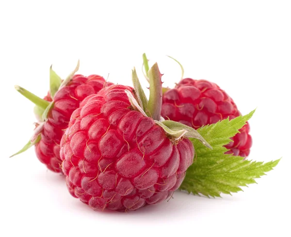 Reife Himbeeren — Stockfoto