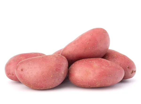 New potato tuber heap — Stock Photo, Image
