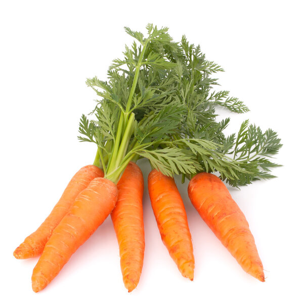 Carrot vegetable with leaves