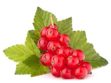 Kırmızı kuş üzümü ve yeşil yaprakları natürmort