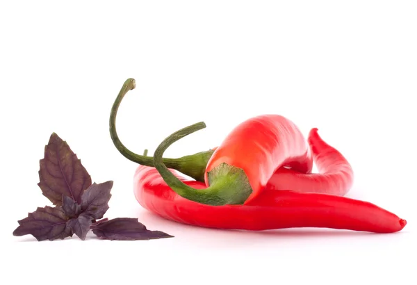 Peperoncino rosso caldo o peperoncino e foglie di basilico nature morte — Foto Stock