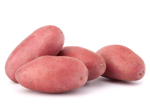 Ny potatis knölen heap — Stockfoto