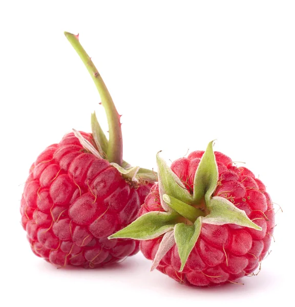 Reife Himbeeren — Stockfoto