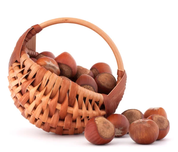 Hazelnuts in wicker basket — Stock Photo, Image