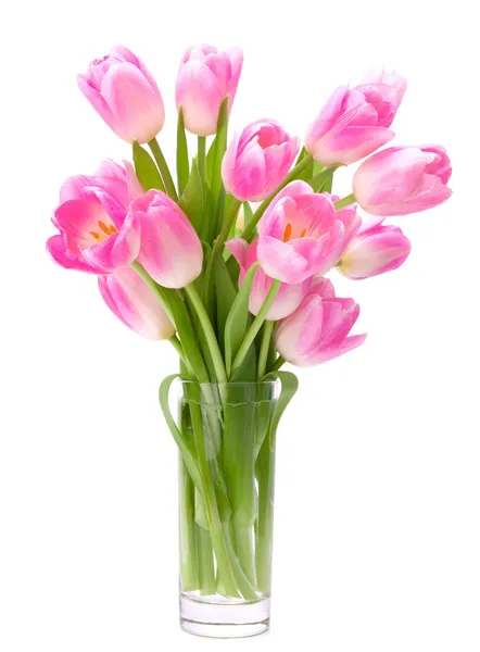 Pink tulips bouquet in vase isolated on white background — Stock Photo, Image