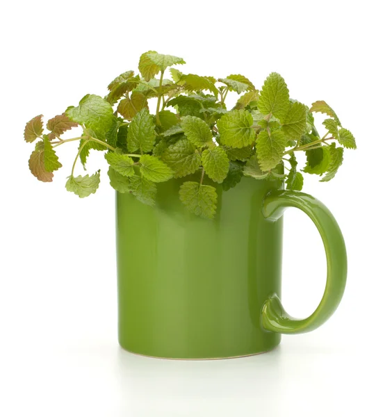 Taza de té de menta de hierbas — Foto de Stock