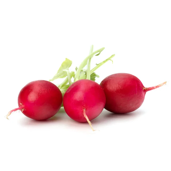 Small garden radish — Stock Photo, Image