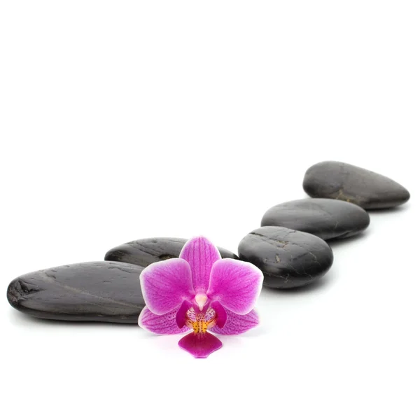 Zen pebbles path. Spa and healthcare concept. — Stock Photo, Image