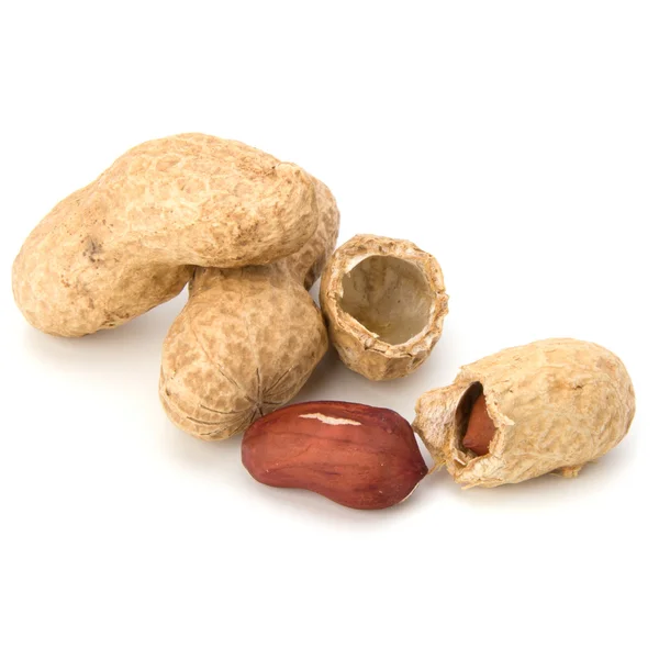 Peanut — Stock Photo, Image