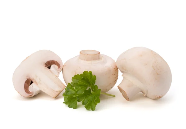 Champignon paddestoel en verse peterselie — Stockfoto