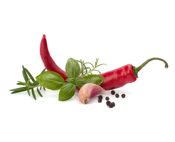 Chilli pepř a koření — Stock fotografie