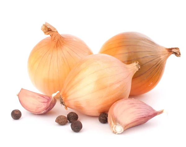 Cebola e dente de alho — Fotografia de Stock