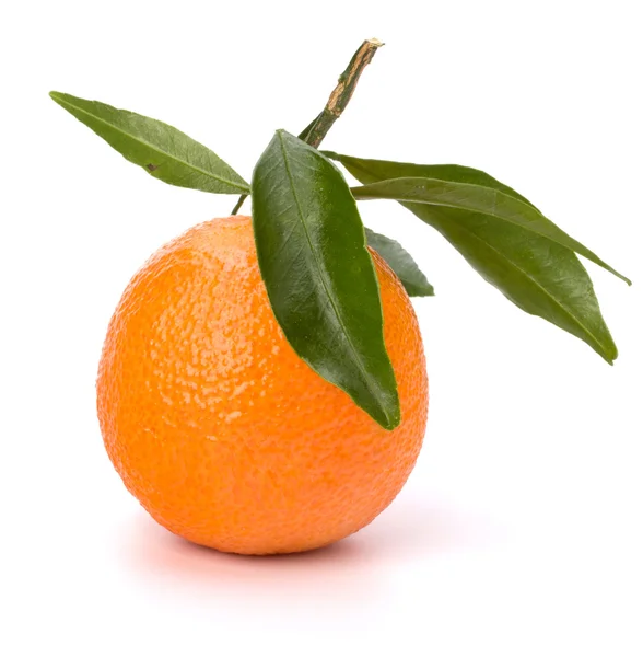 橘我 — 图库照片