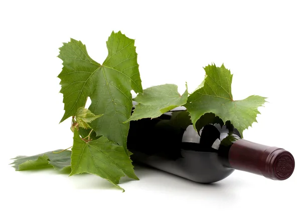 Red wine bottle — Stock Photo, Image