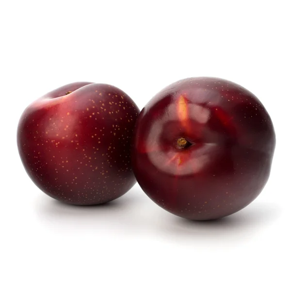 Buah plum merah — Stok Foto