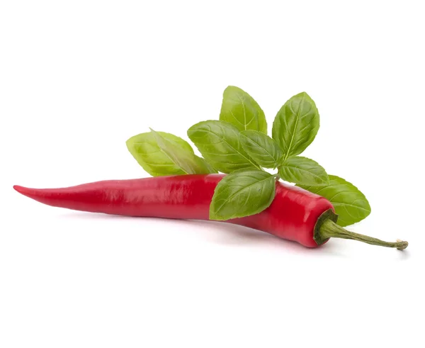 Chili pepper and flavoring herbs — Stock Photo, Image