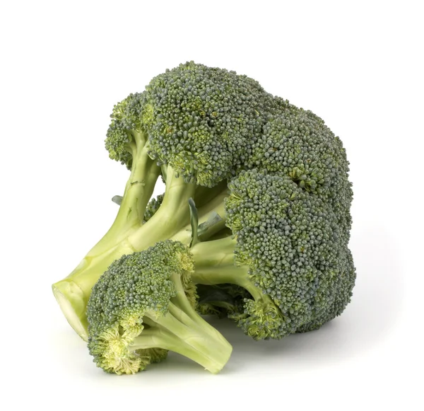 Broccoli vegetable — Stock Photo, Image