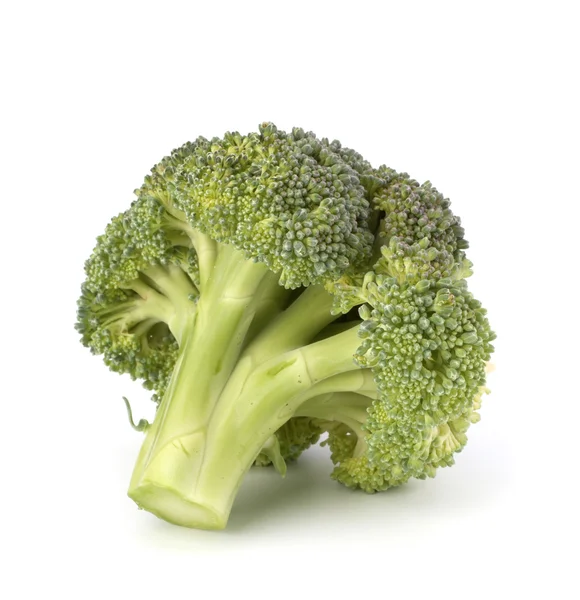 Légumes brocoli — Photo