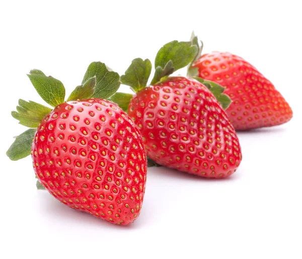 Fragola — Foto Stock